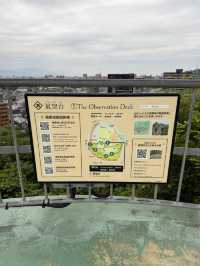 Art & Café Hopping in Dogo – Glass, Gardens & Great Views