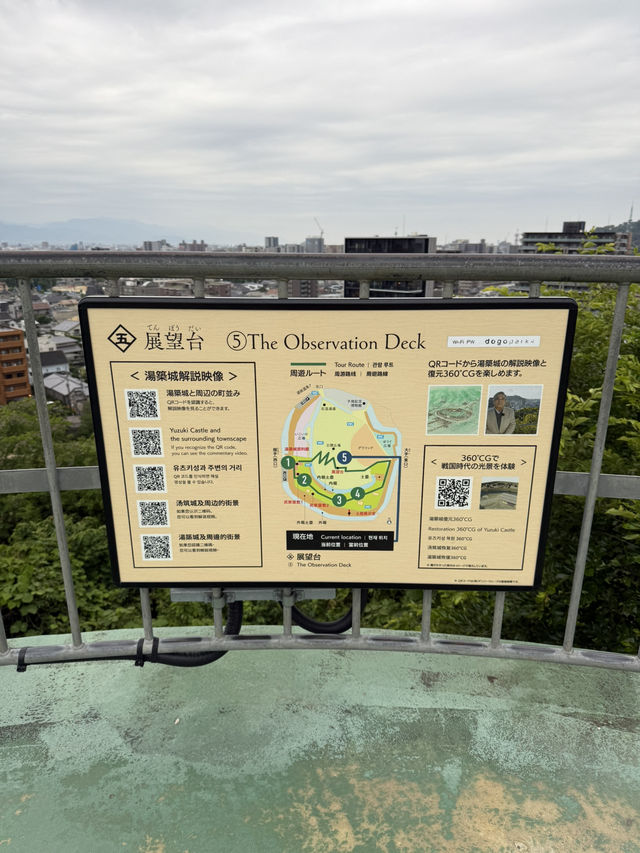 Art & Café Hopping in Dogo – Glass, Gardens & Great Views