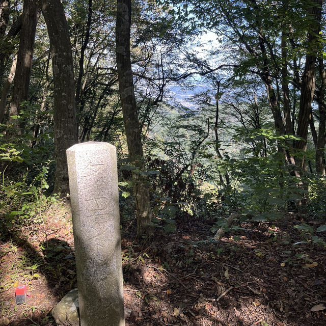 【岩湧山でススキ三昧】 🌾　大阪