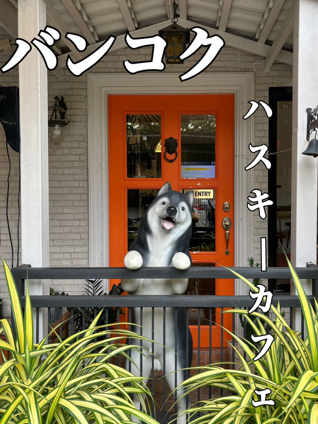 【バンコク】モフモフ好き発見！ハスキーカフェ🐕