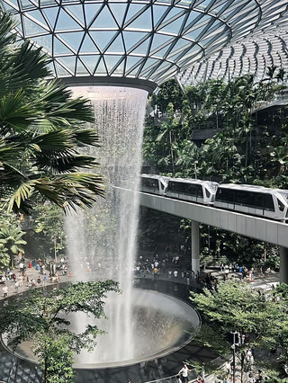 新加坡之旅充滿幸福感