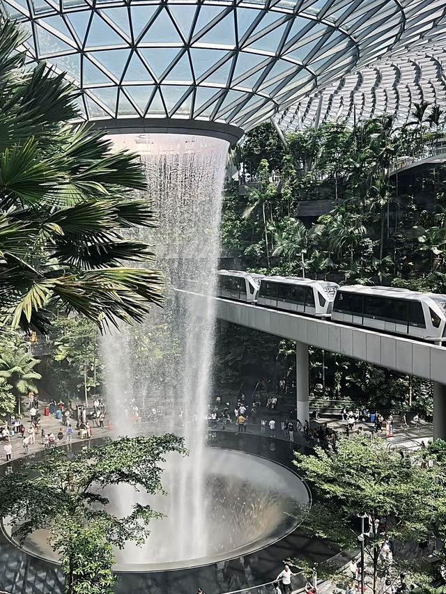 สิงคโปร์ทริปนี้มีแต่ความฟู🇸🇬