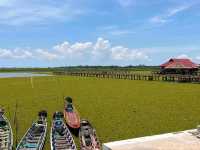 Nature's Symphony at Thale Noi Wetlands