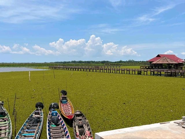 Nature's Symphony at Thale Noi Wetlands