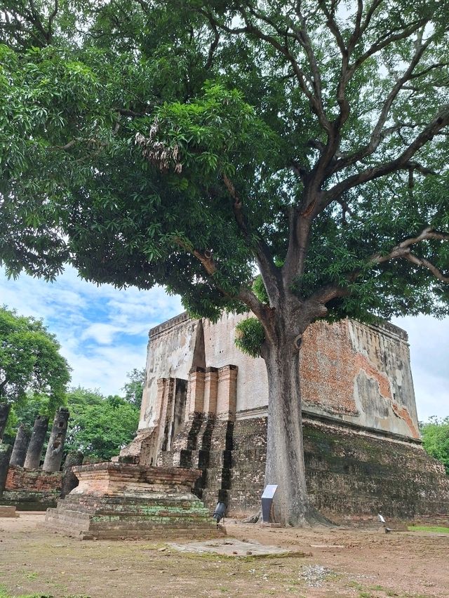 วัดศรีชุม สุโขทัย🪷มนต์ขลังแห่งกาลเวลา🖼