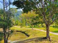 Discover Kepong: Kuala Lumpur’s Hidden Oasis for Nature and Food Lovers