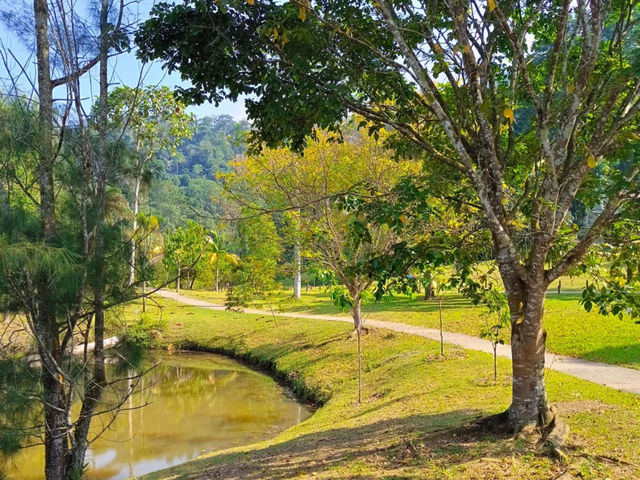 Discover Kepong: Kuala Lumpur’s Hidden Oasis for Nature and Food Lovers