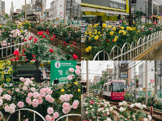 รถรางเส้นทางสายดอกกุหลาบแห่งกรุงโตเกียว🌿