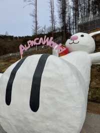 A Fluffy Adventure in the Hills of Alpaca World