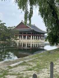 🏯 시간 속을 산책하다, 경복궁🍀🤍