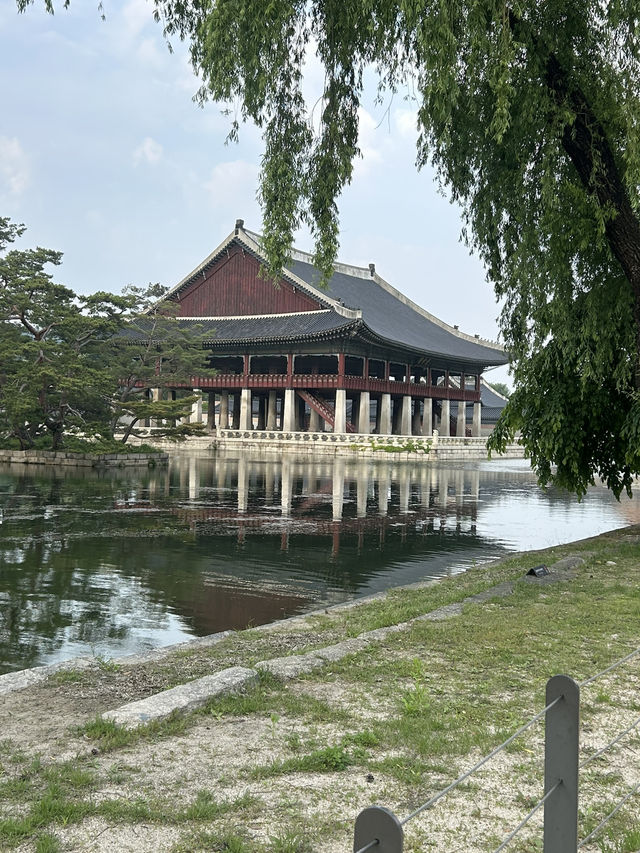 🏯 시간 속을 산책하다, 경복궁🍀🤍