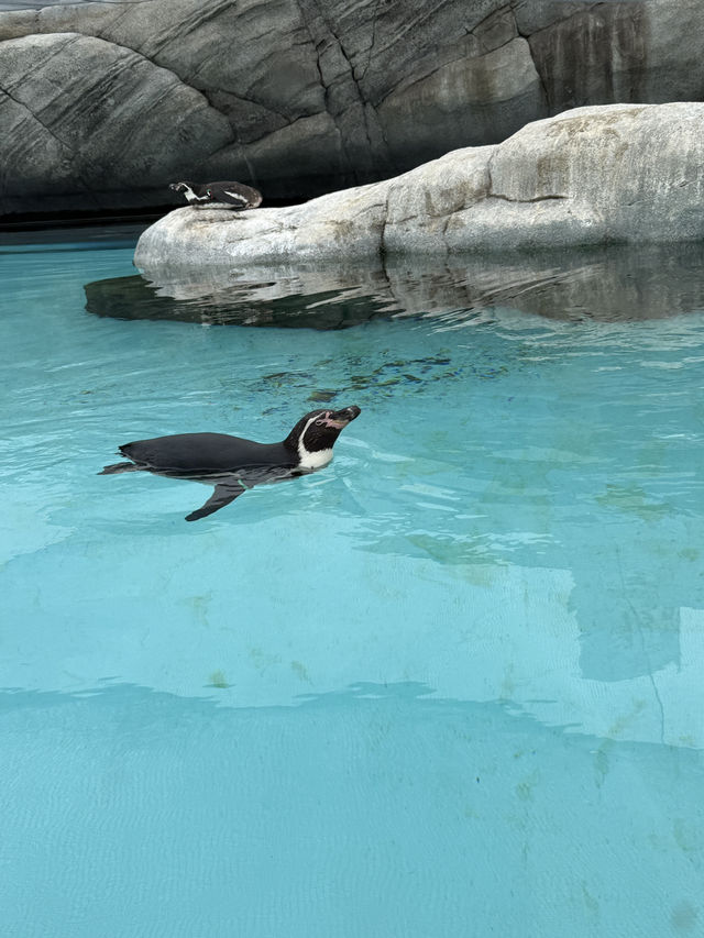 大阪天王寺動物園