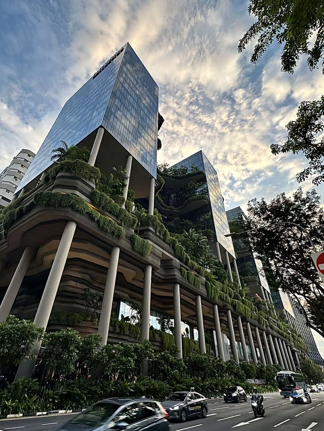 ทริปสิงคโปร์🇸🇬