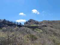 Exploring Ganwolsan Was a Sweet Escape
