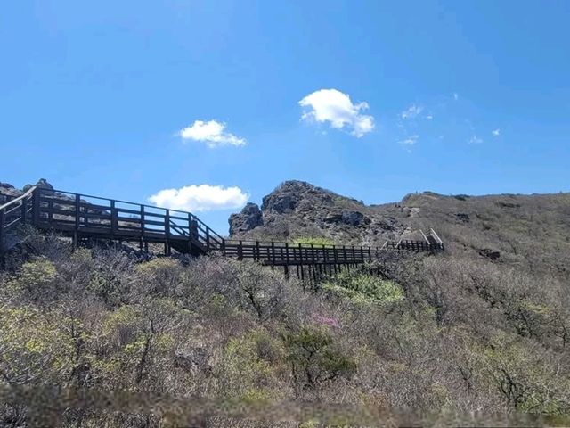 Exploring Ganwolsan Was a Sweet Escape