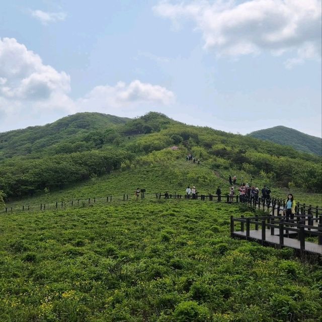 Rolling Hills & Peaceful