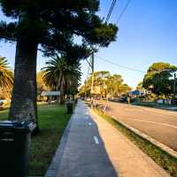 🌊 Sydney Day Trip | Woy Woy — The Pelican Town 🐦✨