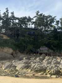 🏖️ 가족과 함께 즐거운 추억을, 천리포해수욕장 