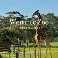 Werribee Zoo | An African Safari Experience in Melbourne! 🦒🛻🌍 