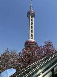 For a picture-perfect view of the Oriental Pearl Tower