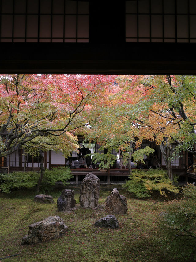🍂【京都 祇園】心に風が吹くような静けさ。「建仁寺」で、禅と美の時間を🌬️🪷 