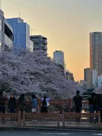 โอซาก้า🇯🇵