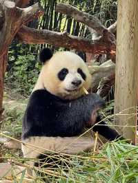 廣州長隆野生動物園