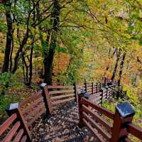 Stairs, Shrines & Sweet Views