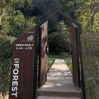 ‘Into the Forest Café’ 