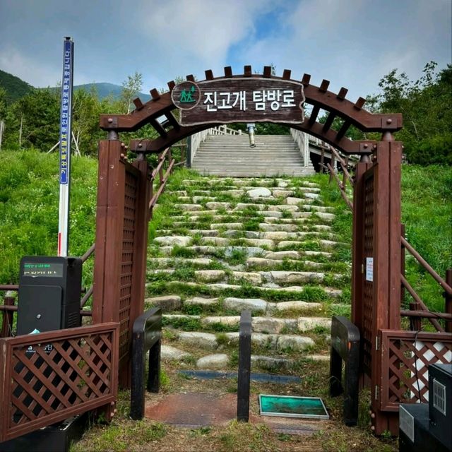 Odaesan Forest