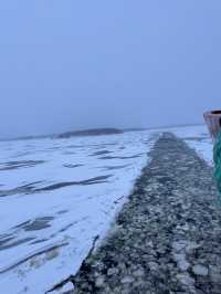 Cracking the Frozen Sea: The Power of the Icebreaker Cruise in Finland🇫🇮