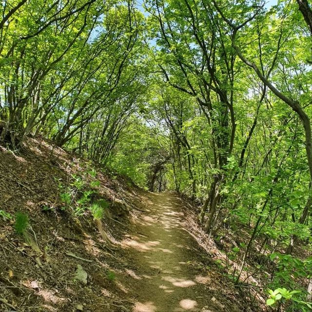 Horyonggoksan Gave Me Island Magic Vibes