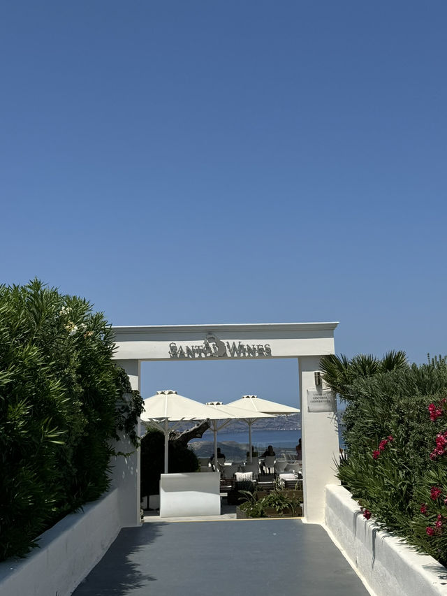 【ギリシャ🇬🇷】サントリーニ島でワイナリーツアーとテイスティング🍷