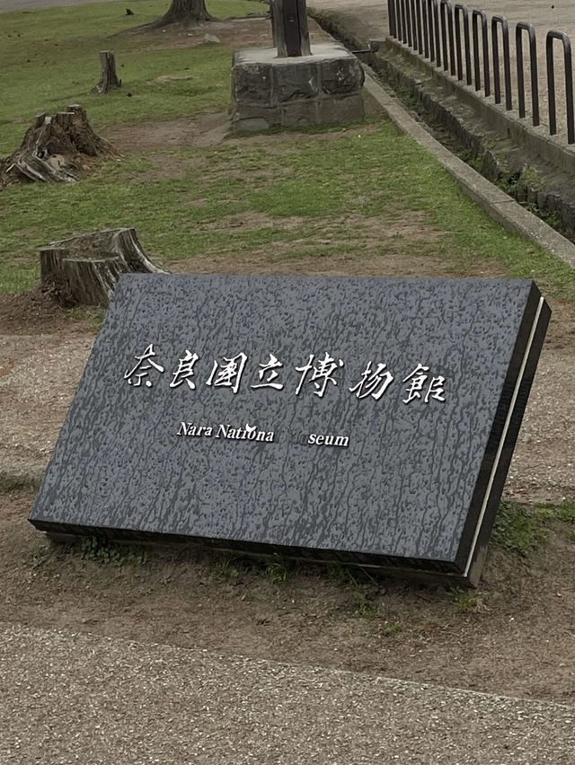 A Tranquil Cultural Treasure – My Visit to Nara National Museum, Nara
