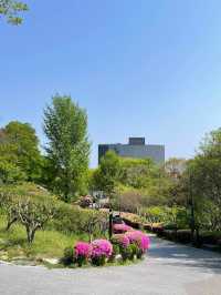 The Namsan Outdoor Botanical Garden