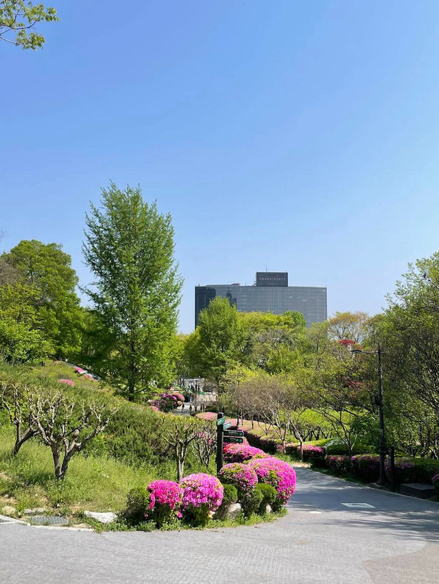 The Namsan Outdoor Botanical Garden