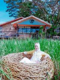 Cherna88 Café & Restaurant (คาเฟ่ เฌอนา) - ภูเก็ต