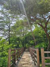 Yeongwol Is Nature Therapy