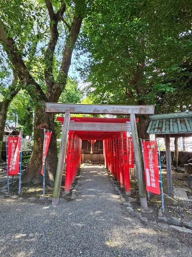 神明守護的水源小祠，伊勢市車站旁〔世木神社〕⛩️