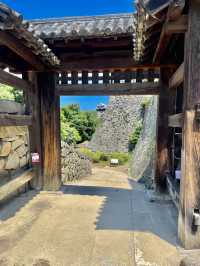 🏯 마쓰야마성 – 에히메현의 살아 있는 역사를 만나다