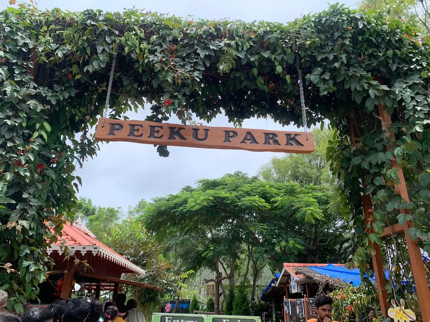 Amazing Peeku Park experience