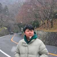 วัดคัตสึโอจิ (Katsuo-ji Temple) วัดแห่งชัยชนะของสา
