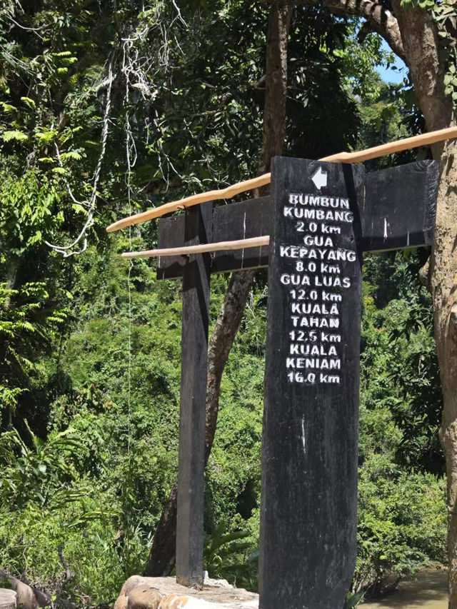 Into the Heart of Taman Negara 🌿⛰️