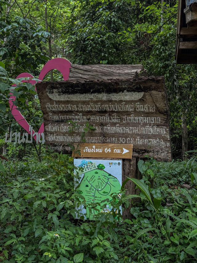 ฤดูฝนที่บ้านป่าเหมี้ยง จ.ลำปาง 🏡⛰️🌧️🌳
