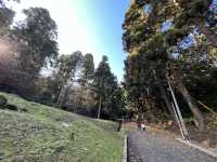 🍀 Review: Strolling Through History at Aobayama Park
