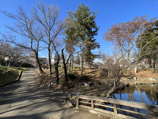 🏞️ Strolling Through History – Morioka Castle Site Park (Iwate Park)