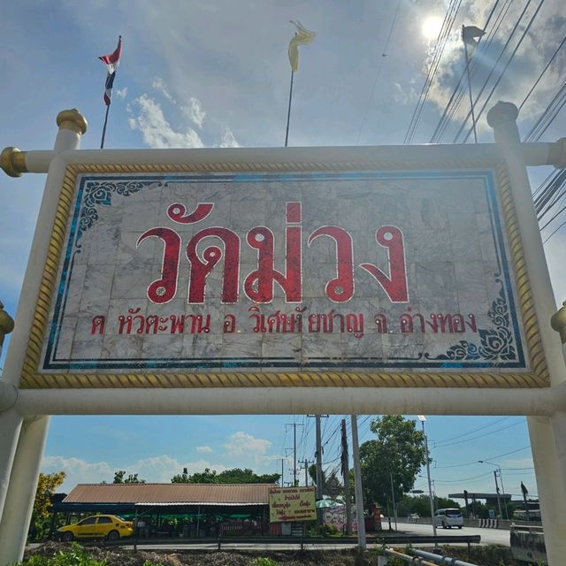 🪷วัดม่วง พระพุทธรูปใหญ่ที่สุดในโลก🪷