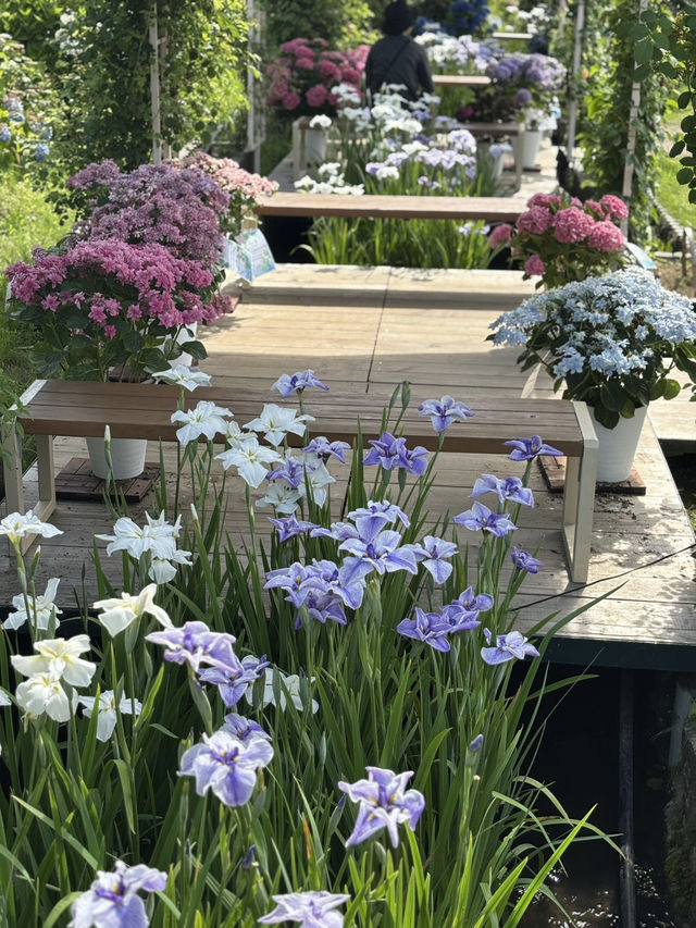 花に癒される！季節の花畑͛💠有名な観光地は？