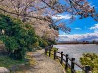 สวนทะคะมัตสึ (Takamatsu Pond Park / 高松の池) 