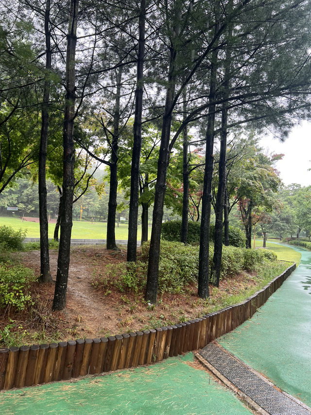 일자산 숲길여행